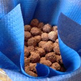 Cocoa dusted hazelnuts